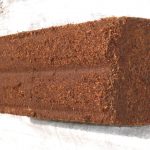 FB_IMG_1668906089841