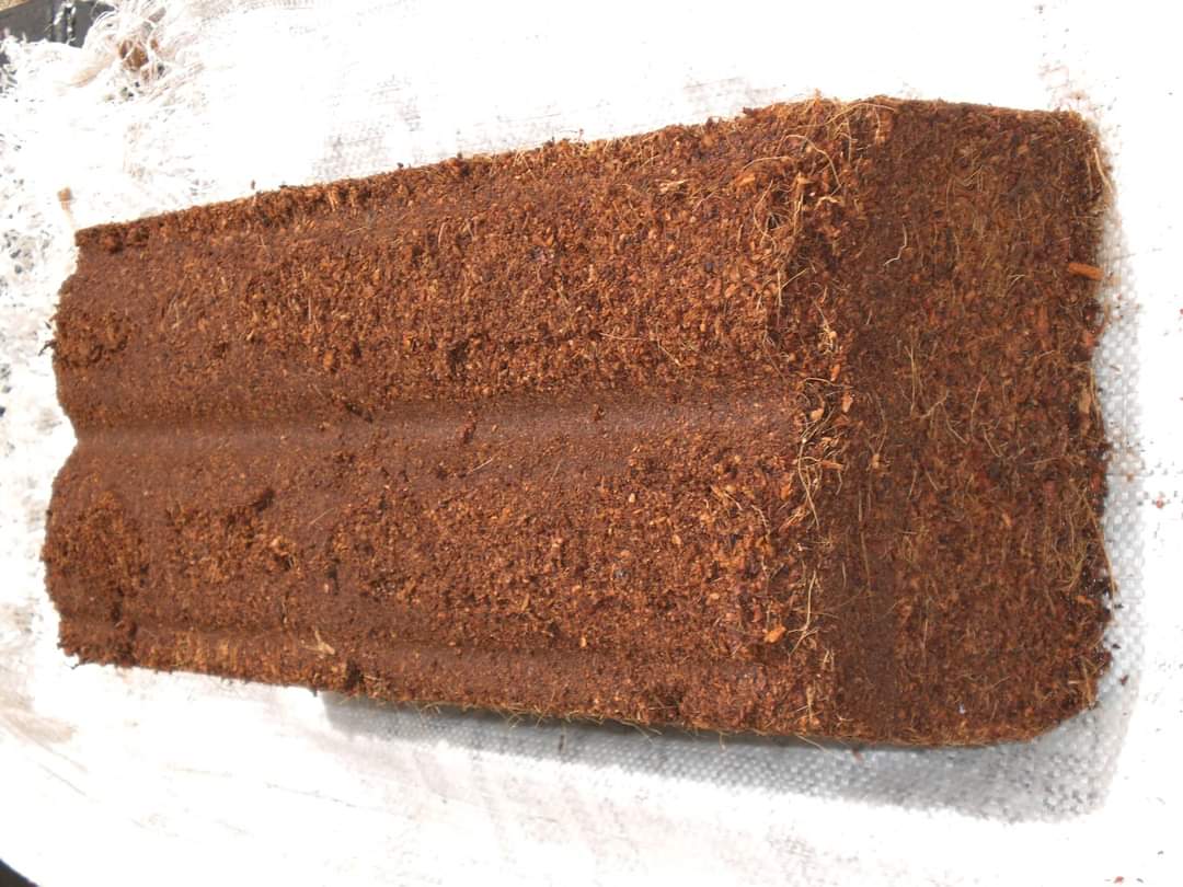 FB_IMG_1668906089841