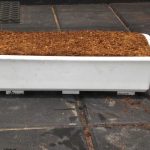 FB_IMG_1668906094537