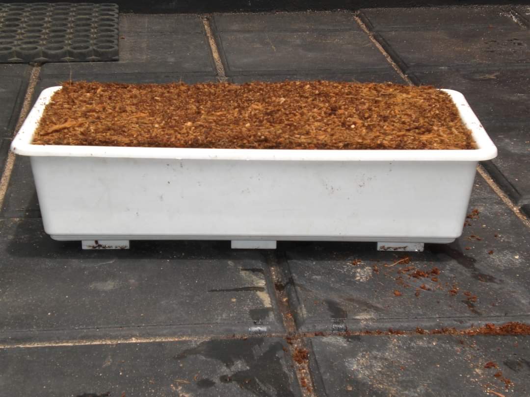 FB_IMG_1668906094537