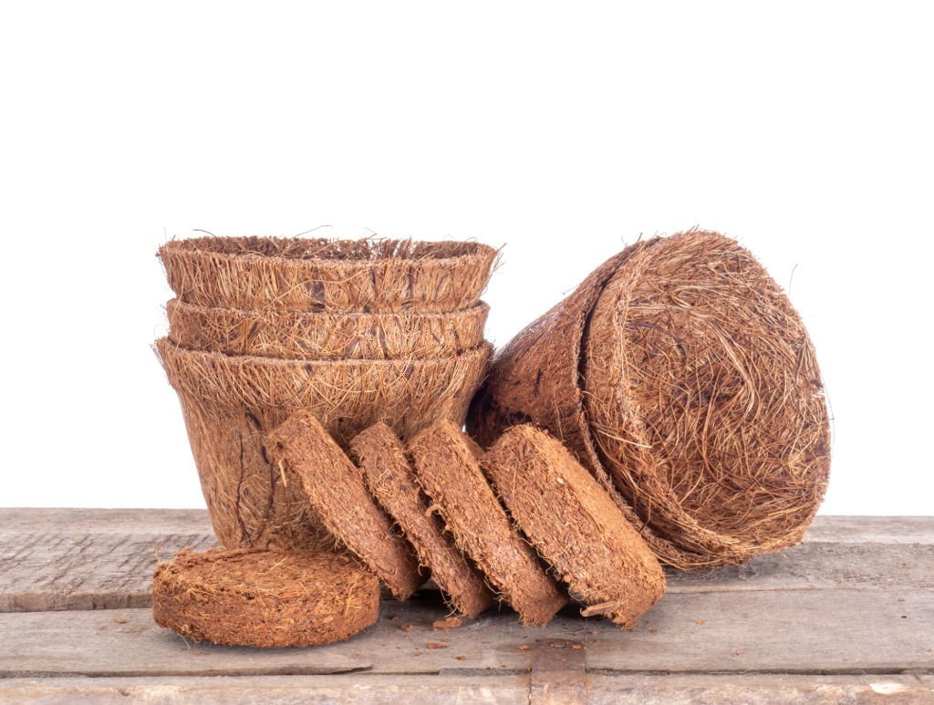 Coir, coconut fibre, plant pots and growing discs against white. Environmentally friendly peat free spring gardening.