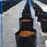 WhatsApp Image 2023-10-04 at 06.06.44