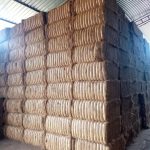 WhatsApp Image 2023-10-06 at 06.13.21 (2)