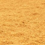 WhatsApp Image 2023-10-16 at 11.06.52