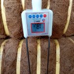 WhatsApp Image 2023-11-10 at 10.38.50