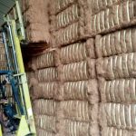 WhatsApp Image 2023-11-10 at 10.39.26